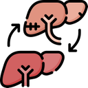 Liver and Kidney Transplant